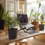 work-from-home-tips