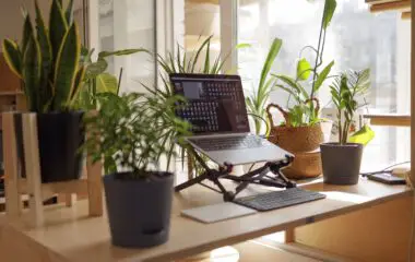 7 Must-Know Work From Home Tips for Greater Productivity