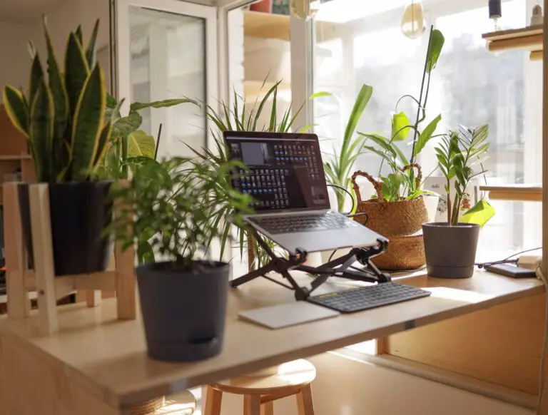 7 Must-Know Work From Home Tips for Greater Productivity
